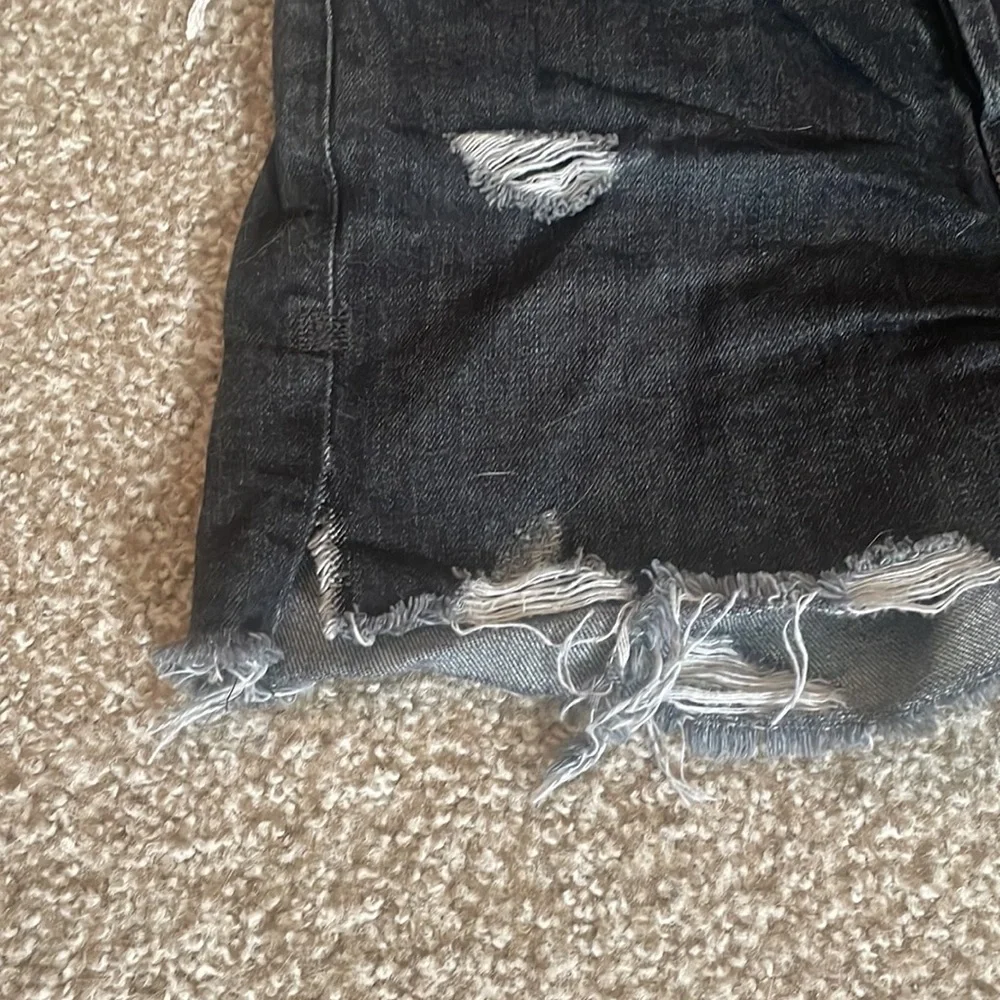 Free People We the Free Distressed Shorts